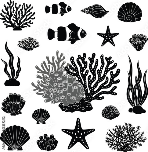 Foto Black and White Marine Life Collection with Coral, Seashells, Starfish and Seawe