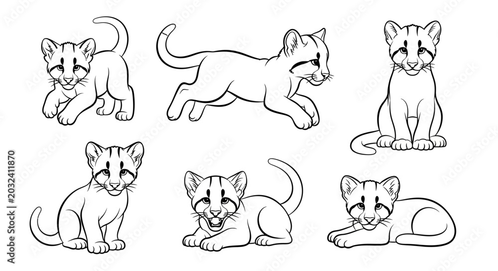Fototapeta premium Cute Cougar Cub Set, Outline Drawing of Mountain Lion Kittens