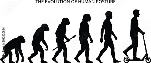 Photography Evolution of human posture vector silhouette illustration of ape to modern man r