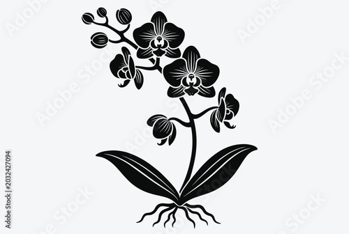 Elegant black and white orchid flower silhouette with detailed petals, buds, leaves, and roots in a minimalist botanical illustration.