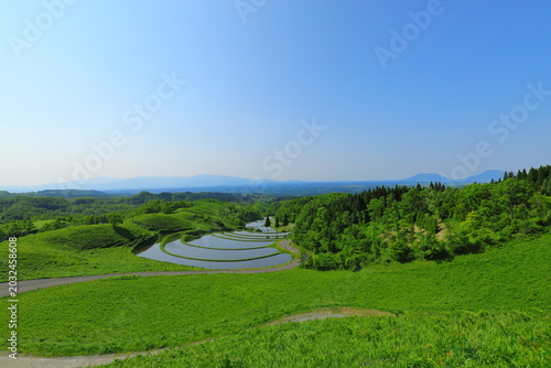 新緑の季節の扇棚田