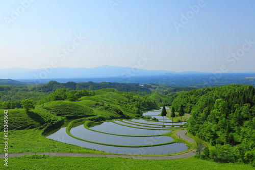 新緑の季節の扇棚田