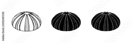 Fotografija Sea Urchin Icons, Marine Life Vector Graphics, Ocean Creatures