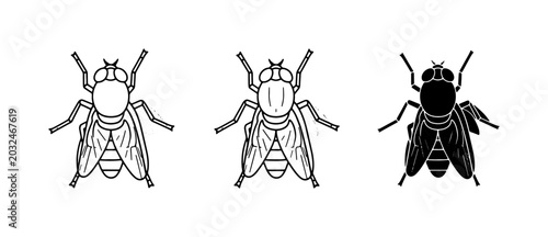 Foto Fly Icons, Insect Vector Art, Pest Control Graphics