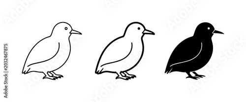 Schilderij op canvas Bird Icons Set: Outline and Silhouette Vector Graphics