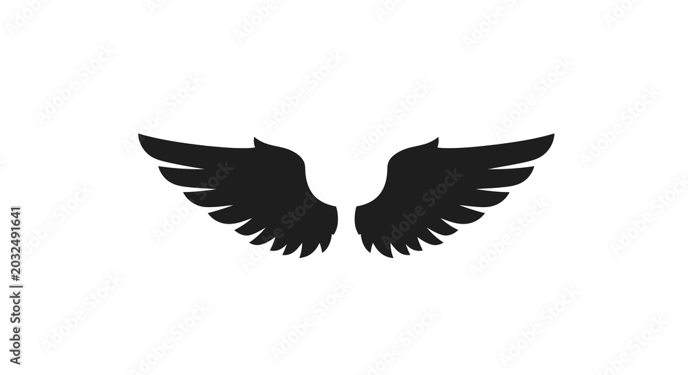Fototapeta premium Wings silhouette on transparent background high quality professional