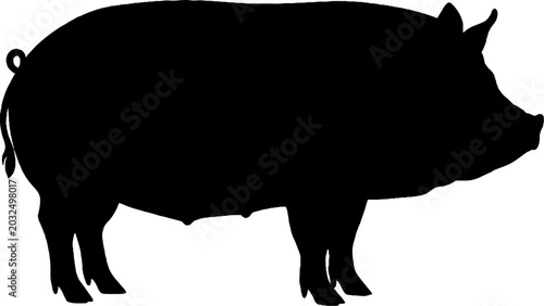 Solid black silhouette of a domestic pig