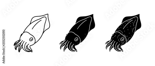 Bild auf Leinwand Squid Icons, Seafood Vector Graphics, Marine Life Illustrations