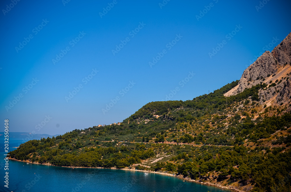 Obraz premium Scenic Adriatic shoreline framed by Mediterranean pine forest and rugged coastal rocks on the Makarska Riviera. A peaceful Croatian travel destination perfect for tourism promotions, slow travel story