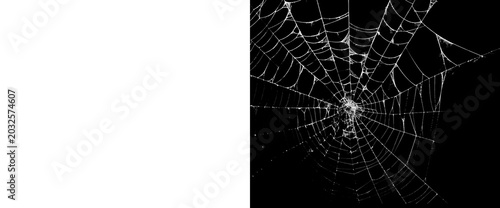 Foto Symmetrical spider web pattern isolated on transparent background for spooky halloween art detailed cobweb circle with alpha channel and matte mask for creative graphics