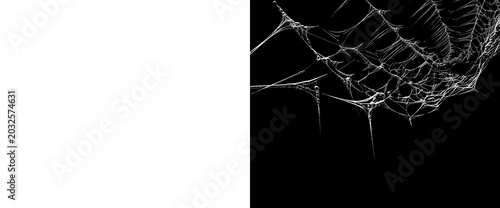 Photos Hanging cobweb fringe isolated on transparent background for spooky ceiling decoration creepy spider web borders with alpha channel and matte mask for halloween designs