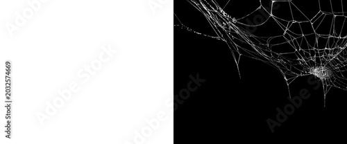 Foto Intricate spider web corner isolated on transparent background with alpha channel mask for creative digital compositing in photography or graphic design project elements