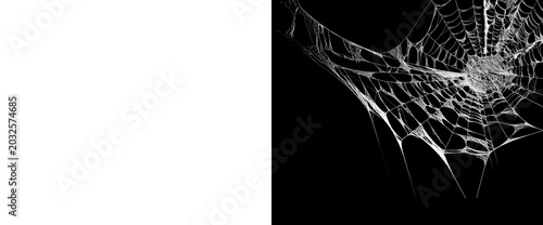 Tableau sur toile Ethereal gossamer spider web caught in wind and mist on a transparent background perfect for spooky or magical effects