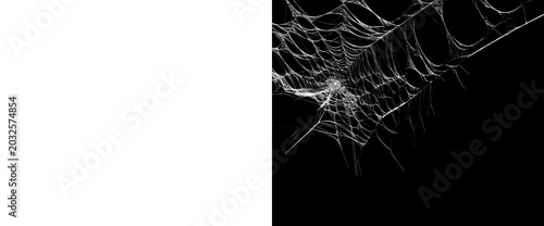 Bilde på lerret Exquisite spiderweb with fine threads and delicate strands, isolated on black and transparent backgrounds, natural insect architecture, detailed organic pattern for design