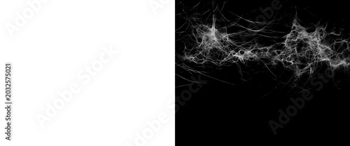 Foto Horizontal stretch of white spider web with intricate and tangled fibers on a transparent background and alpha matte