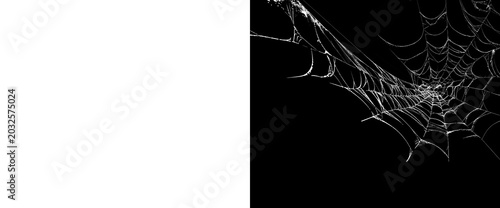 Photography Classic white spider web with symmetrical radial pattern on a transparent background and an accompanying alpha matte