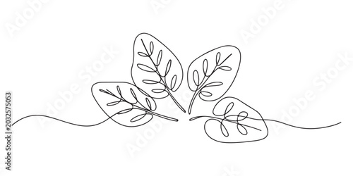 Single continuous line drawing of whole healthy organic green spinach leaves for farm logo identity. Fresh leafy green flowering concept for plant icon. Modern one line draw design vector illustration