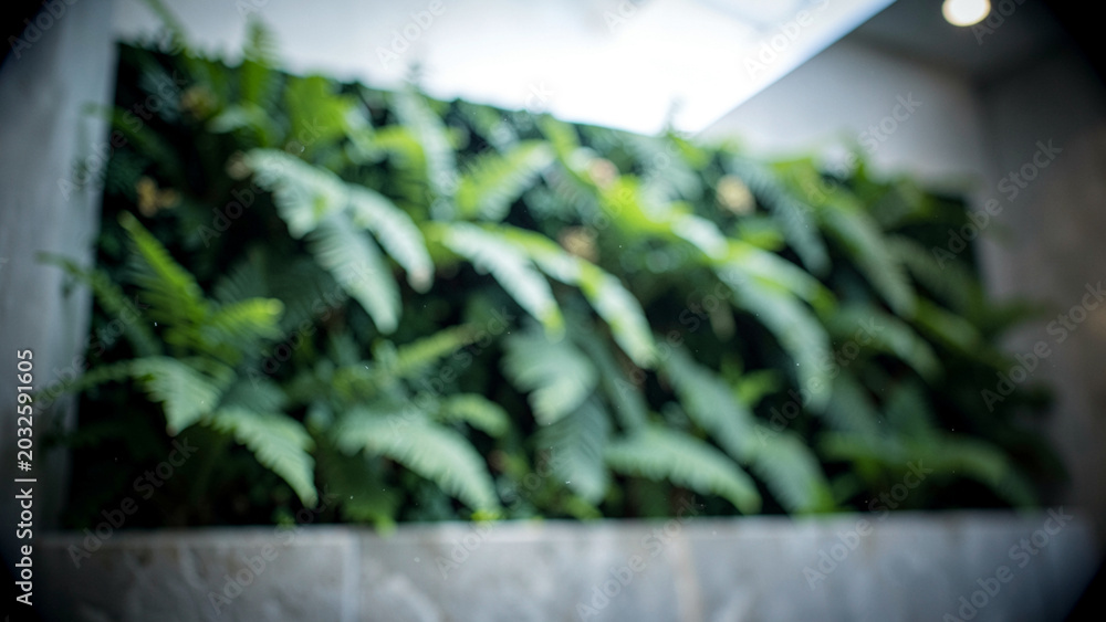 Obraz premium Tranquil vertical garden wall creating a serene modern indoor atmosphere