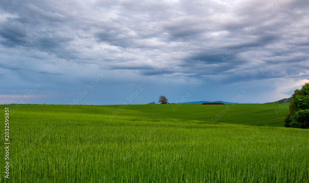 Fototapeta premium Dramatic evening panorama of Cesky Raj landscape in Czech Republic with Trosky castle ruins on volcanic rocks beneath dark storm clouds and deep blue sky before thunderstorm