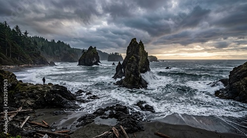 Dramatic Pacific Northwest Coastal Seascape