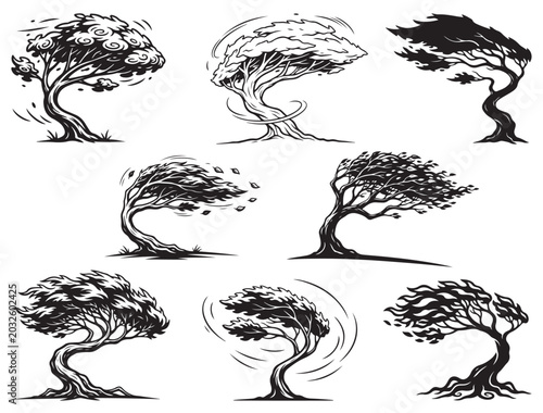 WIND SWEPT TREE SILHOUETTE