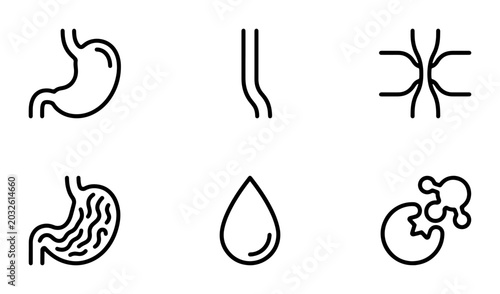 Foto Digestive System Icons: Stomach, Esophagus, Intestine, Droplet, Cells