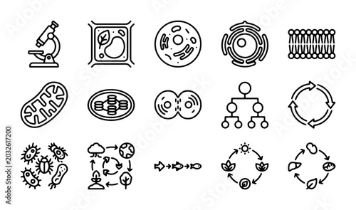Foto Biology Icons Set: Cell Structures, Microorganisms, Cycles, Microscope, Plant Ce