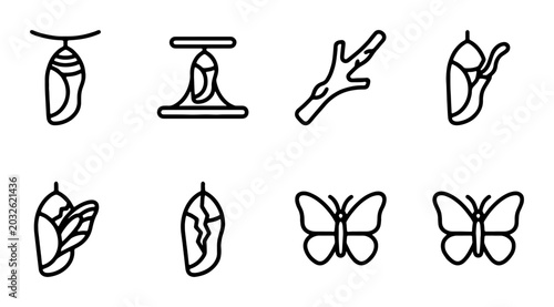 Cuadro en lienzo Butterfly Metamorphosis Icons: Chrysalis, Pupa, Emerging Insect, Life Cycle Stag