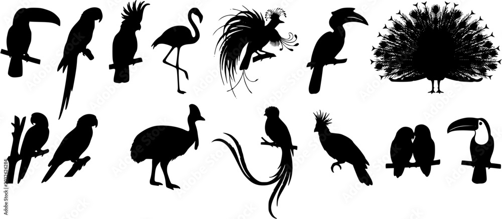 Naklejka premium Set of exotic bird silhouettes including toucan, parrot, flamingo, peacock and bird of paradise on white background