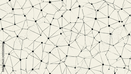 Fotografie Abstract black and white geometric network pattern with interconnected points an