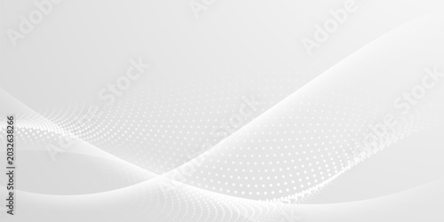 Photography gray and white abstract background modern vector illustration