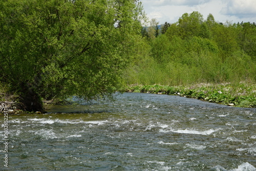 Nurt rzeki Białki