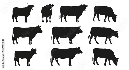 Black cow silhouettes, cattle icons, farm animal set, 10 vector graphics
