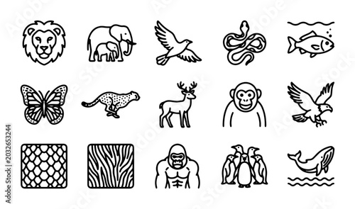 Photography Animal Icons Set: Wildlife, Mammals, Birds, Reptiles, Marine Life, Insects, Text
