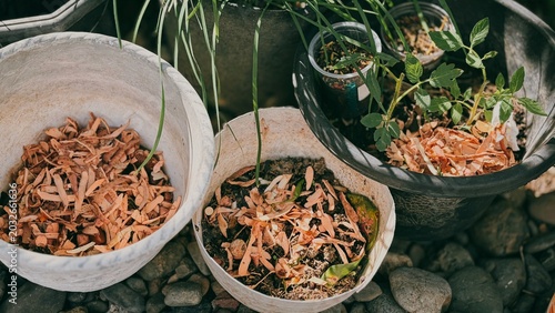 Photography Organic kitchen and garden waste in pots for composting