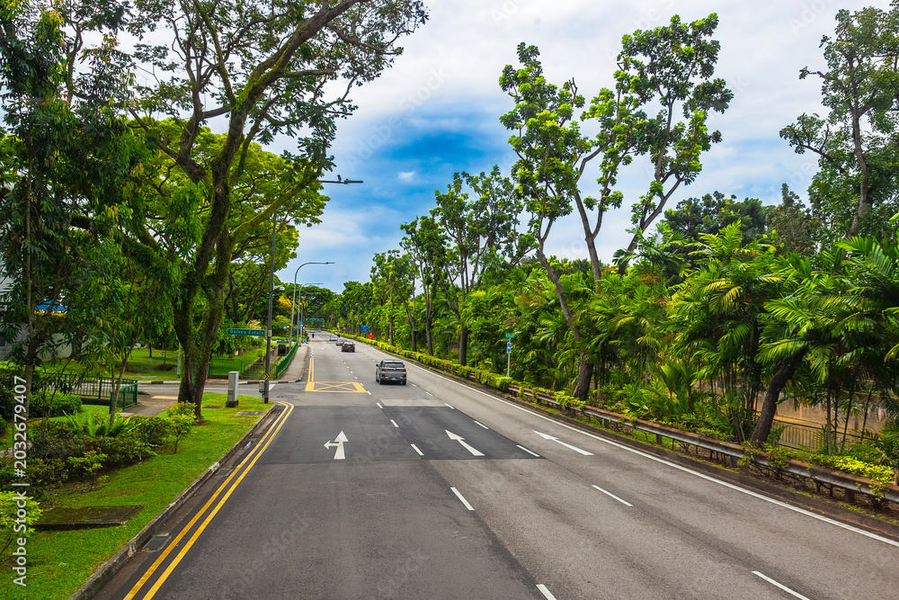 Naklejka premium Cityscape with numerous green tropical trees along the urban road in Singapore. Typical street trees with lush foliage in Singapore during daytime