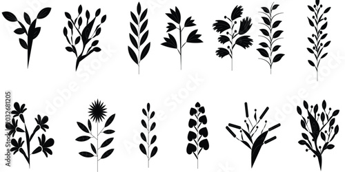 Photography a collection of stylized black and white illustrations of flowers