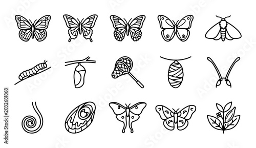 Obraz na płótnie Butterfly and Moth Life Cycle Icons, Insect Metamorphosis Vector Set, Nature Ent