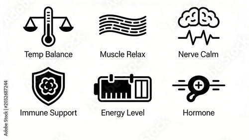 Showcasing temperature, muscle, nerve, immune, energy, and hormone regulation, systemic balance regulation, postoperative physical recovery, and improvement of chronic fatigue.
