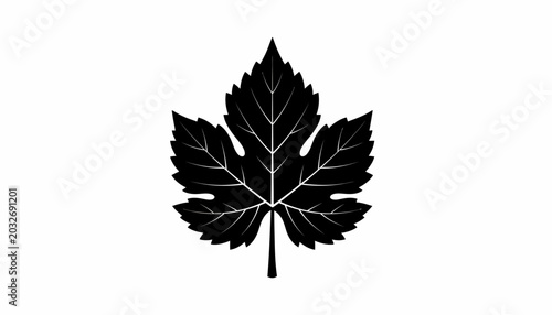 Foto Black maple leaf icon, silhouette, vector graphic, isolated on white background,
