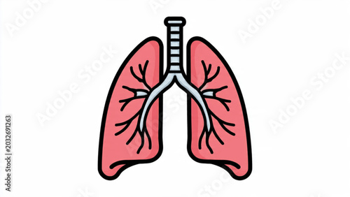 Tableau sur toile Detailed illustration of human lungs with bronchial tubes in vibrant red and pin