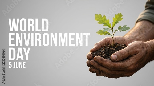 Young oak sapling growing in cupped hands a photo for World Environment Day