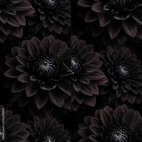 Moody dark dahlia flowers seamless pattern with deep purple petals and black background creating dramatic atmospheric floral texture for high fashion.