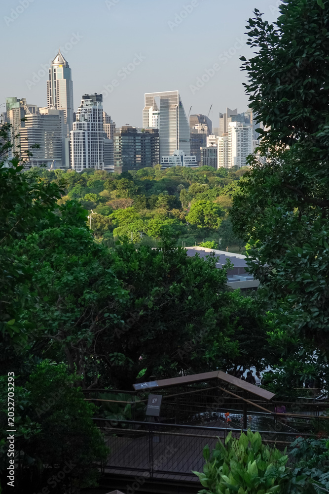 Fototapeta premium A scenic view of Lumpini Park, taken from the Dusit Central Park viewpoint, a favorite landmark for tourists and travelers.