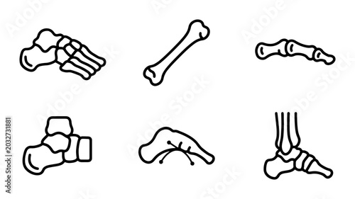 Tableau sur toile Human Foot Bone Anatomy Icons, Skeletal Structure Vector Set, Medical Illustrati