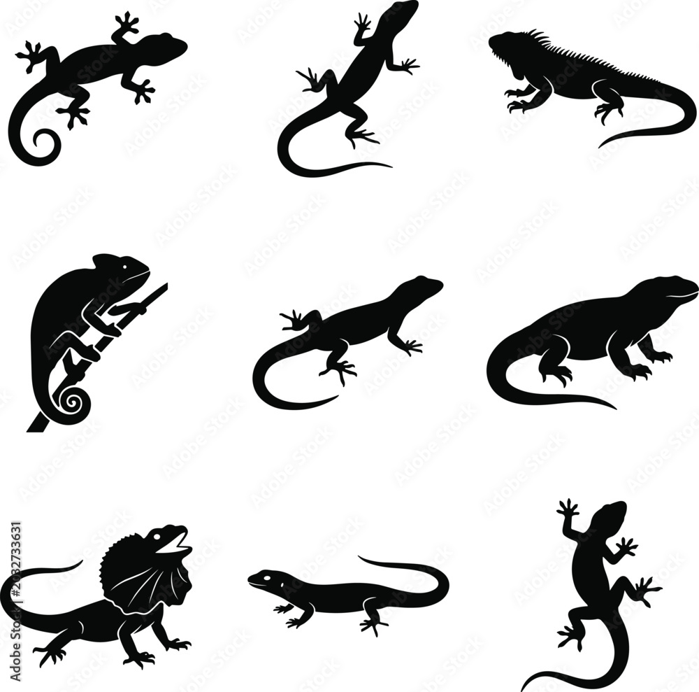Obraz premium Black silhouette illustrations of diverse lizard species including gecko, iguana, chameleon, and frilled lizard, showcasing anatomy, poses, and reptile design