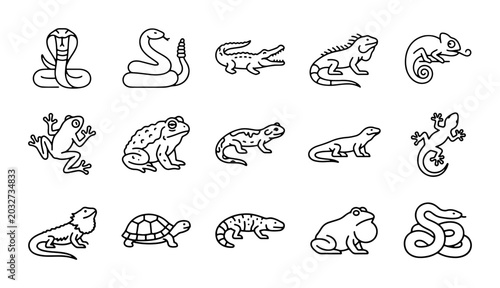 Photos Reptile and Amphibian Icon Set: Cobra, Snake, Crocodile, Iguana, Chameleon, Frog