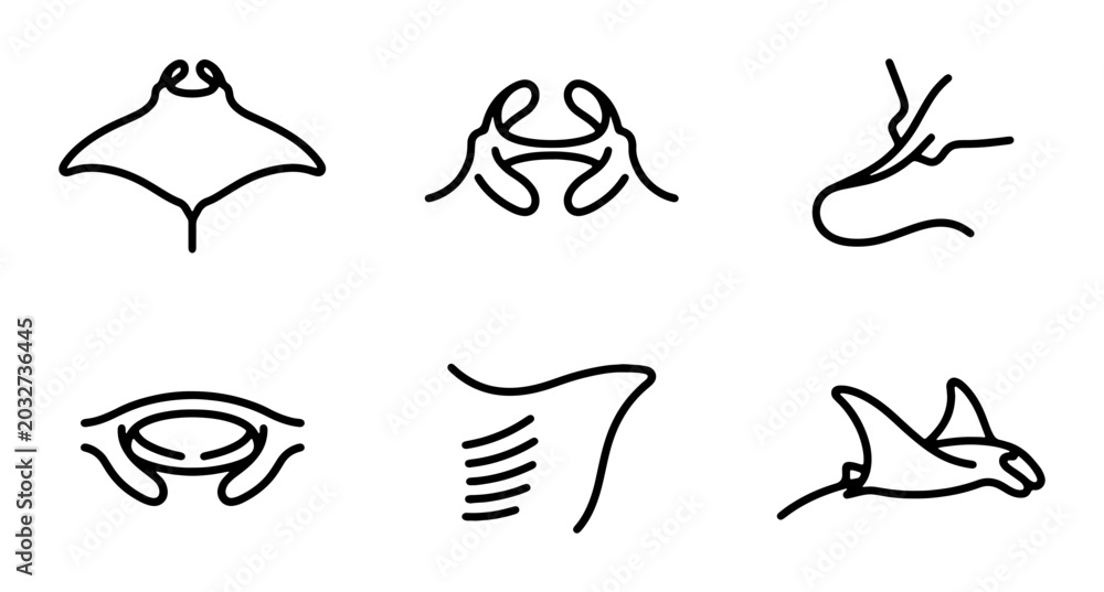 Fototapeta premium Manta Ray Icons, Ocean Wildlife Line Art, Marine Biology Vector Set, Underwater Animal Graphics