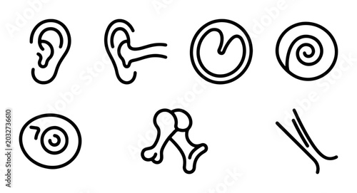 Fotografie Human Ear Anatomy Icons, Auditory System Vector Graphics, Medical Science Symbol