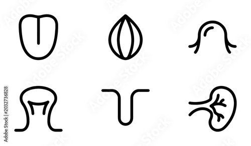 Quadro su tela Medical Icons Set: Tongue, Seed, Uvula, Tonsil, Larynx, Kidney, Health, Anatomy